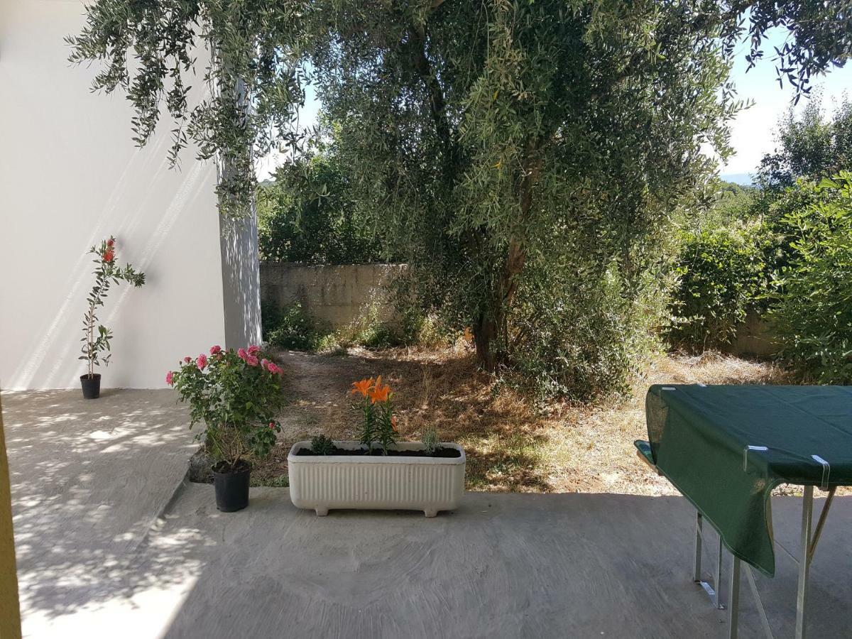 Apartment Silvija Ližnjan Екстериор снимка